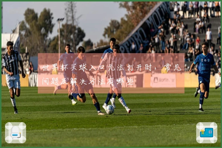 世界杯买球入口无法打开时，常见问题及解决方法有哪些