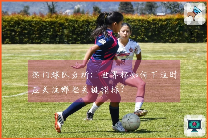 热门球队分析:世界杯如何下注时应关注哪些关键指标?