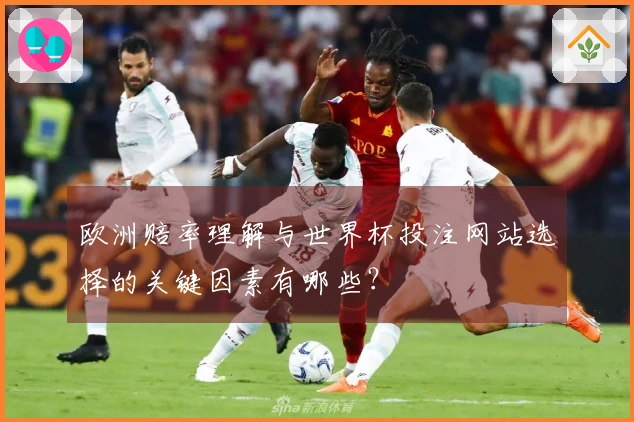 欧洲赔率理解与世界杯投注网站选择的关键因素有哪些？