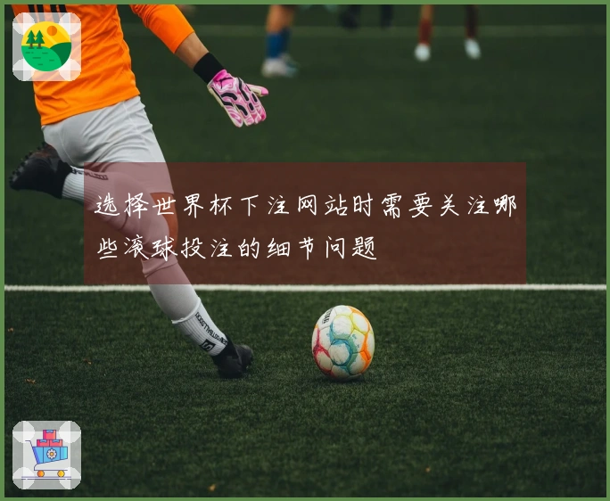 选择世界杯下注网站时需要关注哪些滚球投注的细节问题