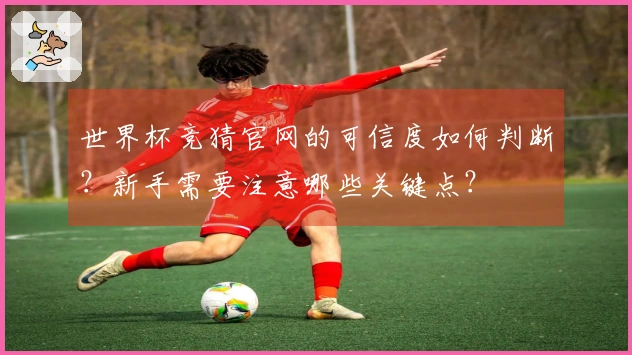 世界杯竞猜官网的可信度如何判断?新手需要注意哪些关键点?