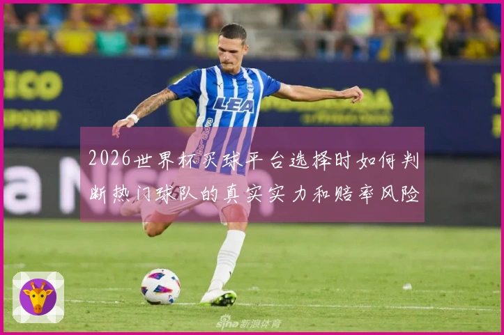 2026世界杯买球平台选择时如何判断热门球队的真实实力和赔率风险