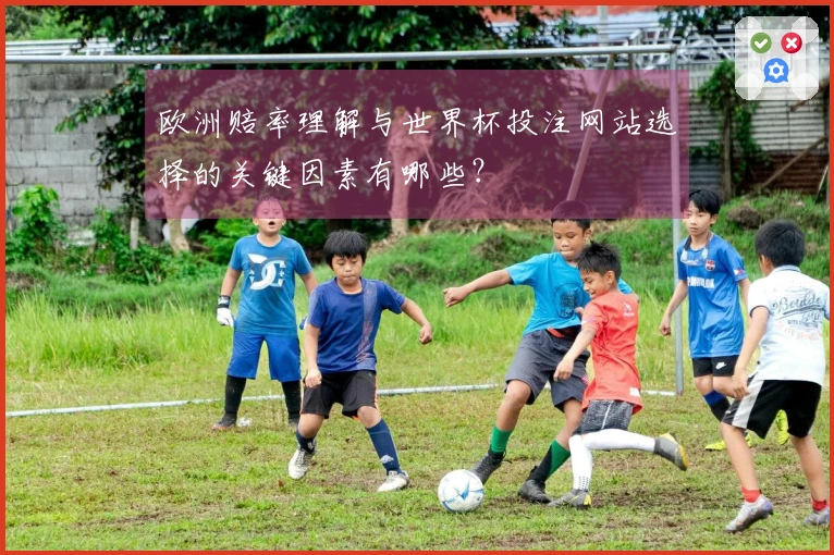 欧洲赔率理解与世界杯投注网站选择的关键因素有哪些？