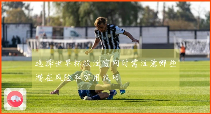 选择世界杯投注官网时需注意哪些潜在风险和实用技巧